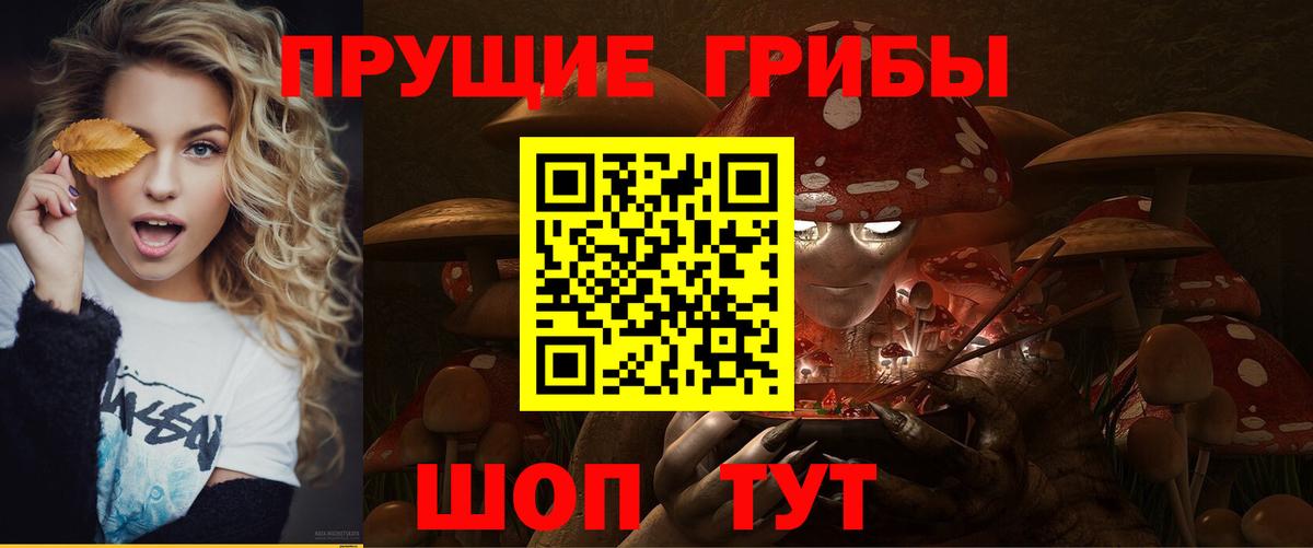 что такое наркотик  Вход с VPN  Воскресенск  Псилоцибиновые грибы GOLDEN TEACHER 